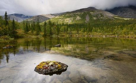Incredible Nature Photography by Yevgen Timashov Incredible Nature Photography by Yevgen Timashov5