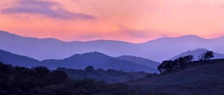 Incredible Nature Photography by Yevgen Timashov Incredible Nature Photography by Yevgen Timashov 16
