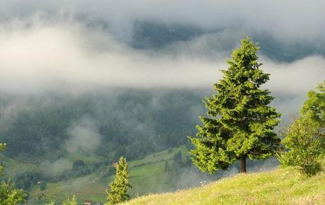Incredible Nature Photography by Yevgen Timashov Incredible Nature Photography by Yevgen Timashov 19