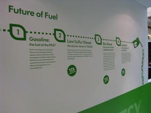 From Renewable Fuels to Sustainable Ones