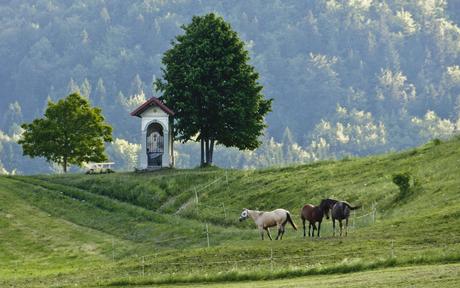 Where You Should Be! - Slovenia Where You Should Be! - Slovenia