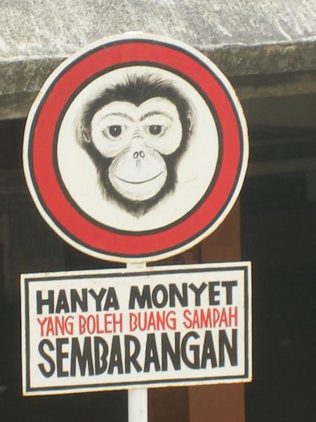 Hanya Monyet Yang Boleh Buang Sampah Sembarangan “Dilarang Buang Sampah Sembarangan!”