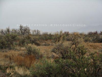2011 Storm Chase 2 - April 3rd -
