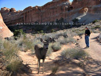 2011 - March 23rd - Devils Garden Section, Arches National Park