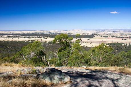 open landscape view from mount beckworth