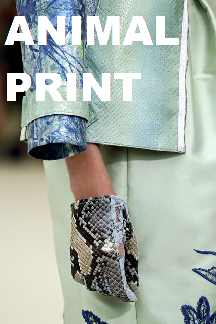 CATWALK TRENDS S/S '13 CATWALK TRENDS S/S '13