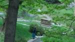 Mount Auburn Cemetary 5 Ways to Face Your Fear When Travelling