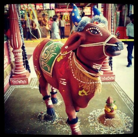Shopping Centre Festival of Cow Creativity, Colour and India: The curious power of belief