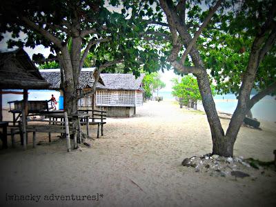 Sandbar Island Beach Resort, Concepcion, Iloilo Sidetrip: ..in search for the bed of corals