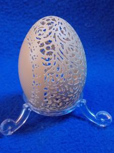 Lesson 683 – Beautiful Eggs DSCN0113
