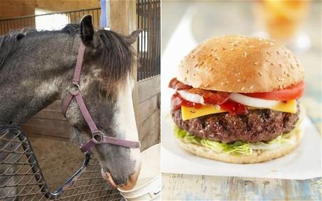 Horseburgers: A Symbol of Supermarket Power