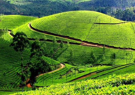 Must see places in Kerala, God's own country