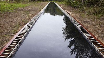 The World's Longest Trampoline