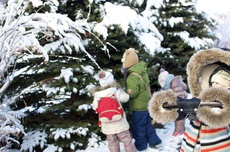 The Magic of Winter The Magic of Winter