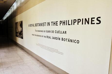 The Renovated Galleries of  the National Museum