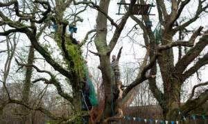 The Return of the Anti-Roads Protesters! Stop the cuts … the 'Combe Haven Defenders' set up camp in the treetops to protest against a new link road between Bexhill and Hastings that will carve through countryside. Photograph: David Levene