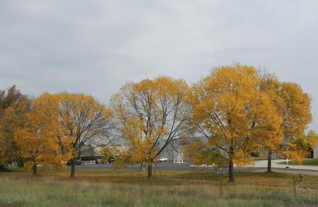 Fall Foliage Road Trip from Florida to Alaska
