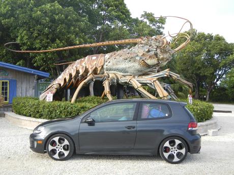 Giant Lobster in Key West Road Trip from Florida to Alaska