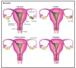 DOD approves women in combat, China makes plans to invade U.S. at low point of menstrual cycle The past 12 hours Chinese generals have been studying the menstrual cycle. General Perv has kept the generals off track by constantly asking where the G spot is.