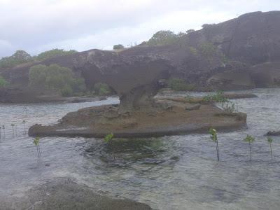 Biri Island Chronicles: Return to the Rock Formations