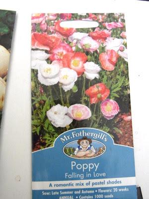 Seedy habits Seedy habits