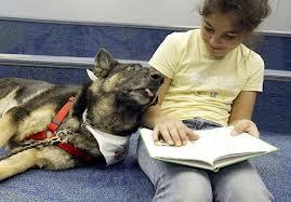 D-o-g helps kids with reading, self-esteem
