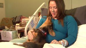‘Dog Days’ ease anxiety for hospitalized pregnant women