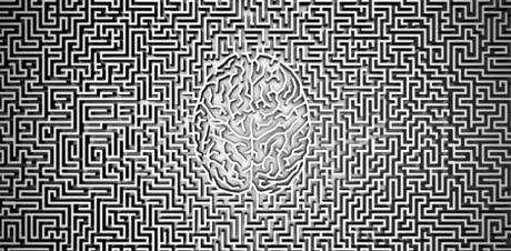 Brain grid