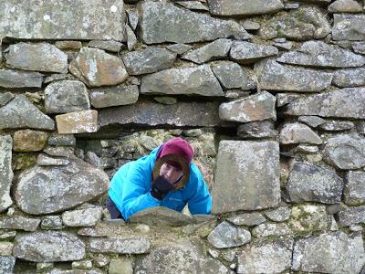 28/365 And not a carrot in sight 28/365 And not a carrot in sight