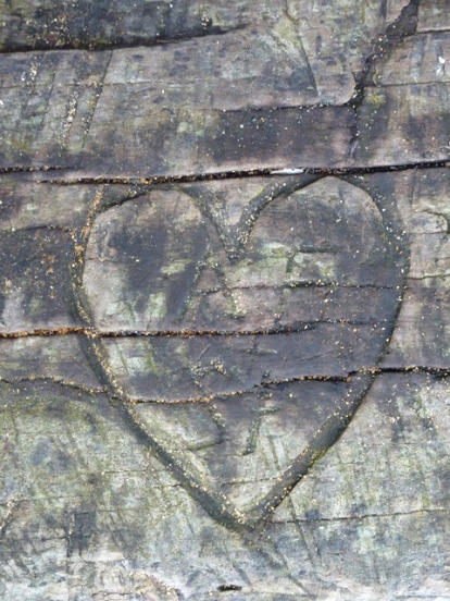 According to this old heart in an old log at Nanaimo's Stephenson Point, AS ♥s SF.