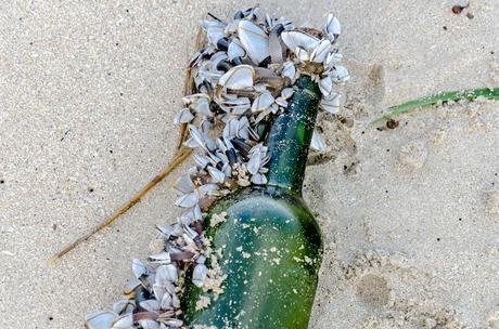 shells attached to bottle lying on beach