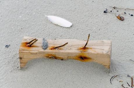 piece of wood with rusty nails on beach