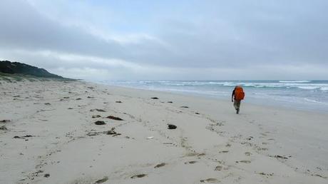 walking on sandy beach