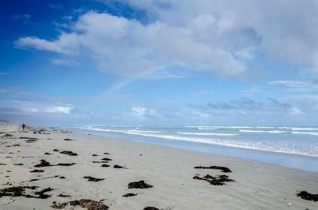 rainbow above ocean and beach