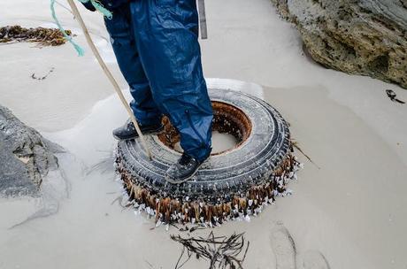 car tire and wheel washed up on beach covered in shellfish