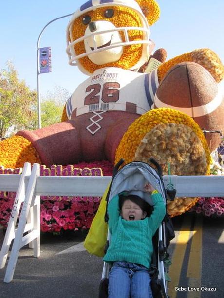 2013 Rose Float - 2