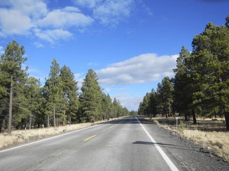 The drive through Coconino National Forest Road Trip Planner Visiting the Grand Canyon South Rim