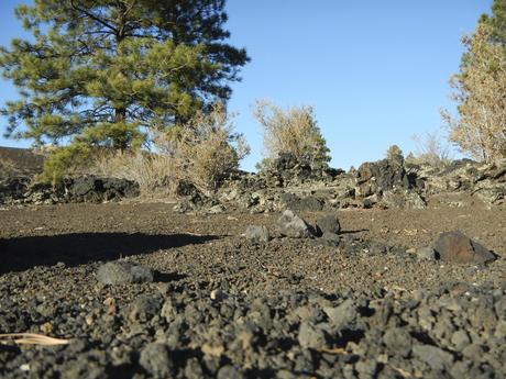Lava Rocks in Sunset Crater Road Trip Planner Visiting the Grand Canyon South Rim
