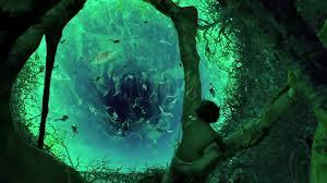 The Veracity of Self—Life of Pi The Veracity of Self—Life of Pi