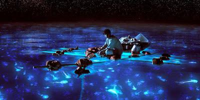 The Veracity of Self—Life of Pi The Veracity of Self—Life of Pi