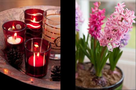 Candles & flowers