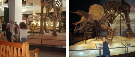 Where to take stir-crazy kids when it's too cold to go outside! Sciencemus3