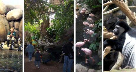 Zoo-nov11-inside Zoo-nov11-inside