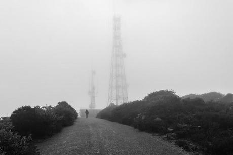 walking on mist covered road near mount william summit