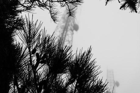 transmission towers in mist on mount william summit