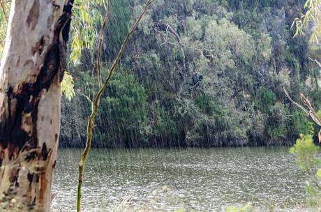 heavy rain on glenelg river