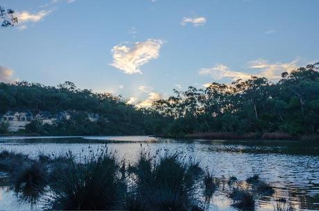 glenelg river at pattersons camp