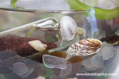 Sea glass with shell