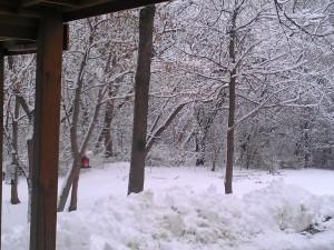 winter 5 winter 5