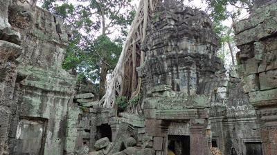 Cambodia Tours: The Jungle Ruins of Ta Prohm